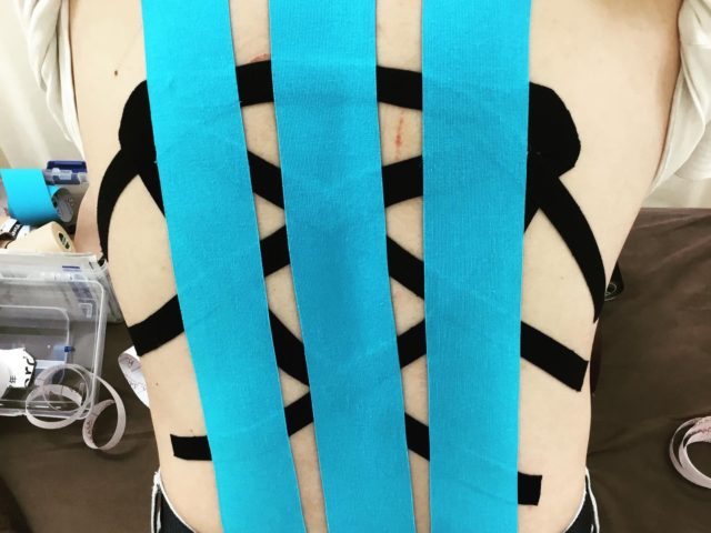 寒い日が増えましたね
